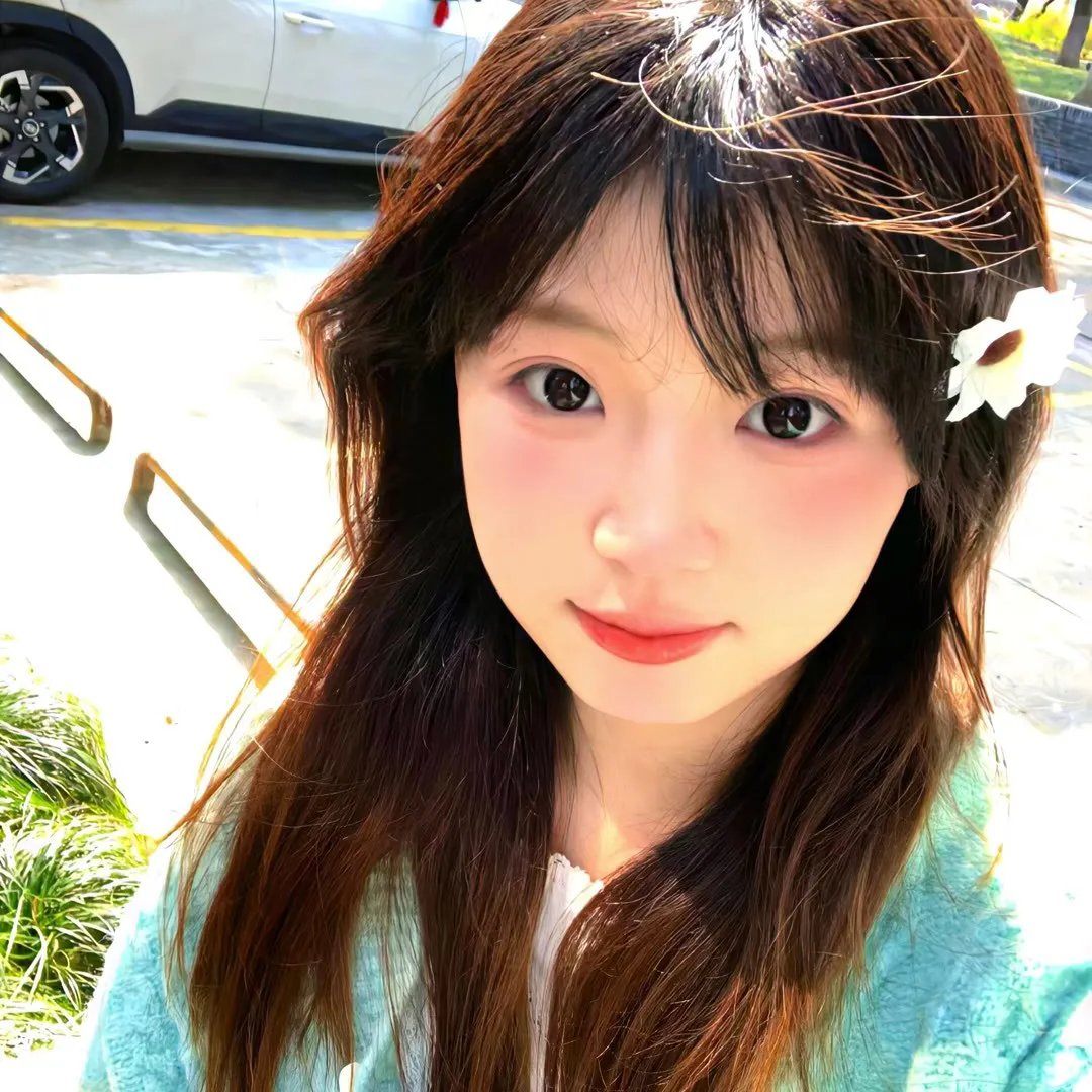 肥猫正传粤语封面